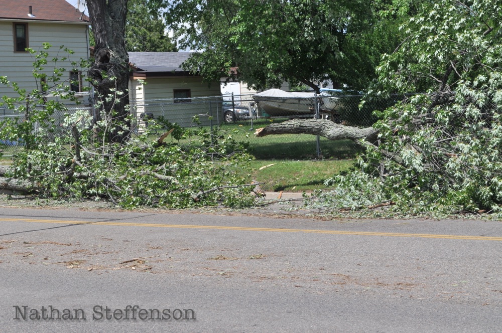 large tree branch down large tree branch down