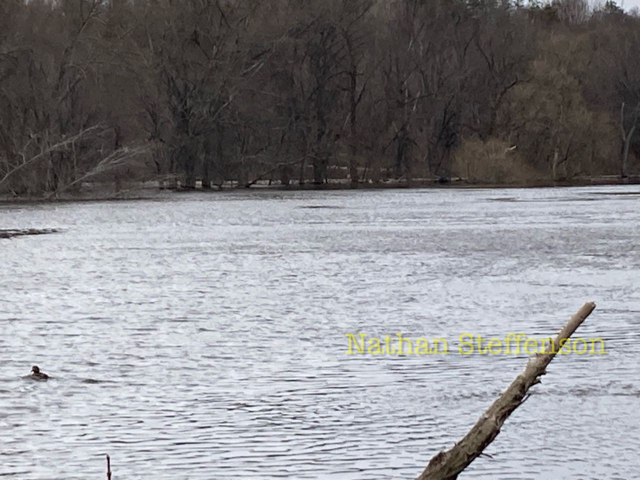 Mississippi River flowing into boom lake