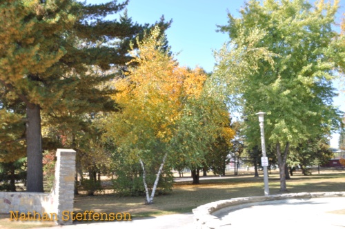 gregory park fall colors gregory park fall colors